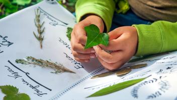 Recording Observations: Journals and Field Notes